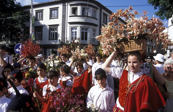 Desfile de la Fiesta de las Flores de Primavera — Foto de Stock