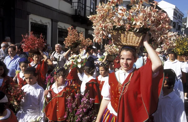 Parade des Frühlingsblumenfestes — Stockfoto
