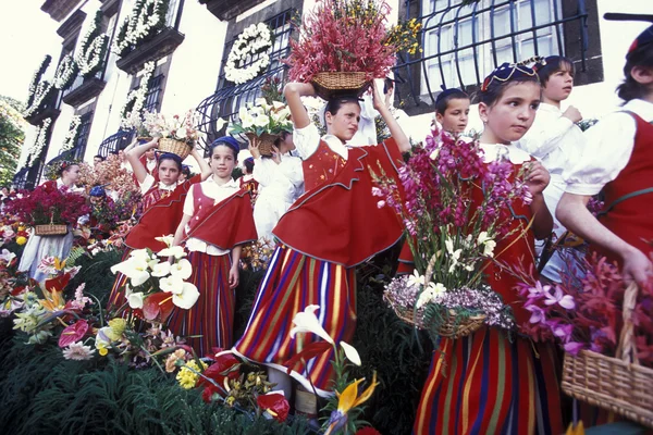 Parade of the Spring Flower Festival — Stok fotoğraf