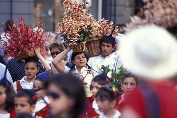 Parade of the Spring Flower Festival — Stok fotoğraf