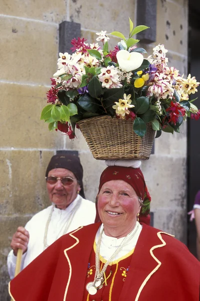 Parade of the Spring Flower Festival — Stok fotoğraf