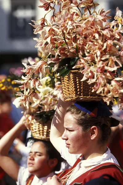 Parade of the Spring Flower Festival — Stok fotoğraf