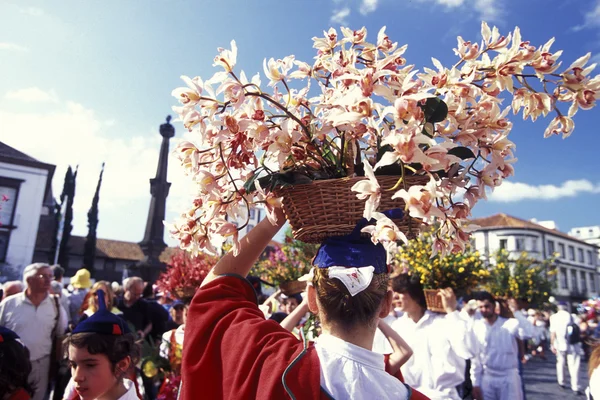 Parade of the Spring Flower Festival — Stockfoto