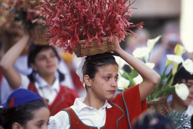 Parade of the Spring Flower Festival
