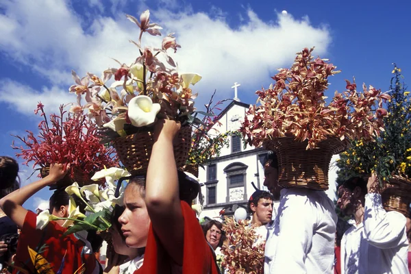 Parade of the Spring Flower Festival — Stok fotoğraf