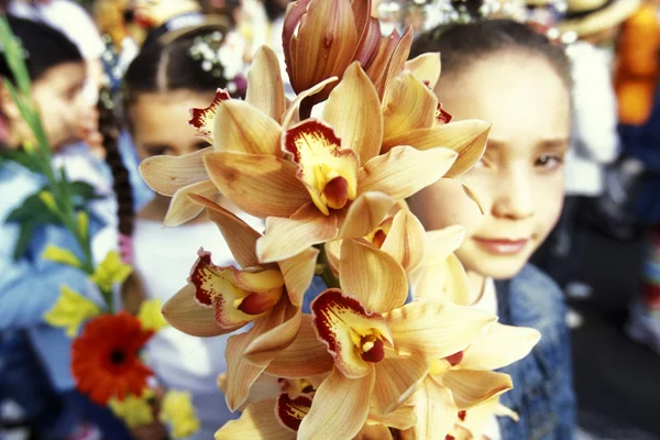 Parade of the Spring Flower Festival — Stock Fotó