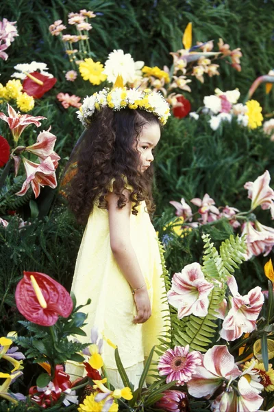 Parade of the Spring Flower Festival — Stok fotoğraf