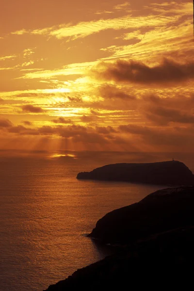 EUROPA PORTUGAL MADEIRA PORTO SANTO — Stockfoto