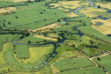 Peyzaj ve alanları Tayland