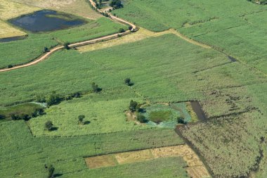 Peyzaj ve alanları Tayland