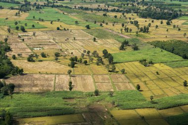 Peyzaj ve alanları Tayland