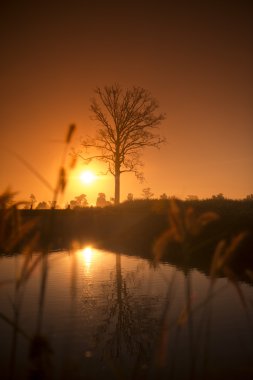 Tayland'da sabah manzara