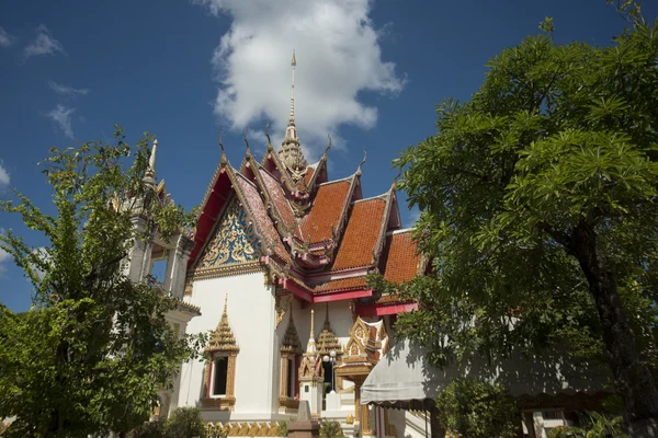 Wat Burapharam templet i Thailand - Stock-foto