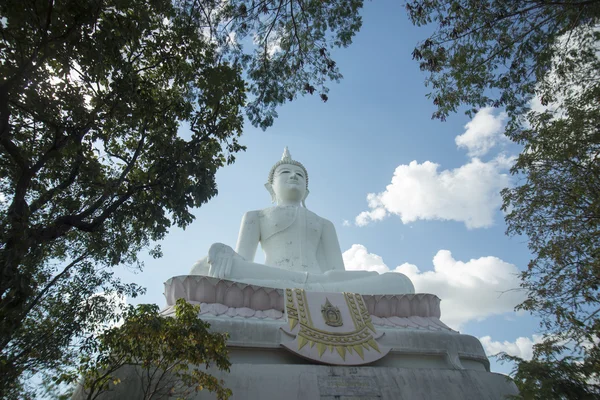 Stor buddha staty — Stockfoto