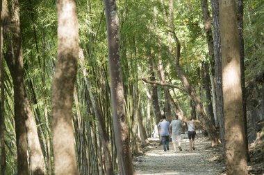 Burma-Tayland demiryolu inşaatı Hillfire geçişi