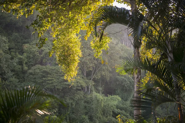 Tayland Kanchanaburi ölüm demiryolu River Kwai — Stok fotoğraf