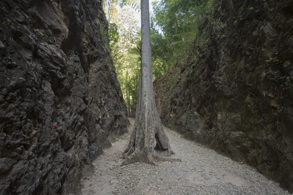 タイ カンチャナブリ Hillfire 峠死の鉄道 — ストック写真