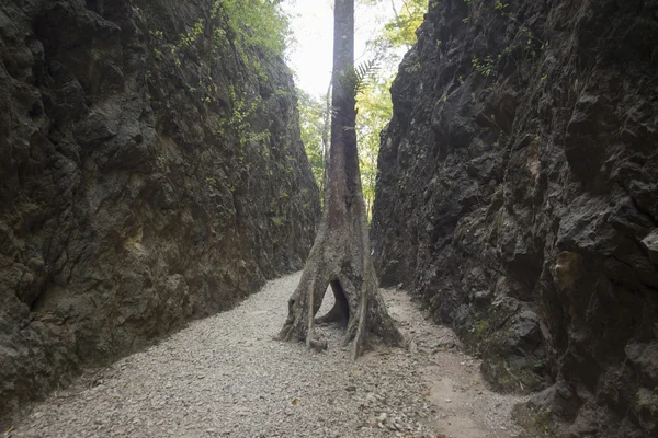 THAILAND KANCHANABURI HILLFIRE PASS DEATH RAILWAY — Stock Photo, Image