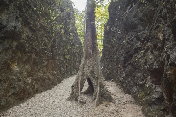 Hillfire Pass of the Burma-Thailand Railway Construction — Stock Photo, Image