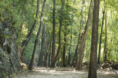 Burma-Tayland demiryolu inşaatı Hillfire geçişi