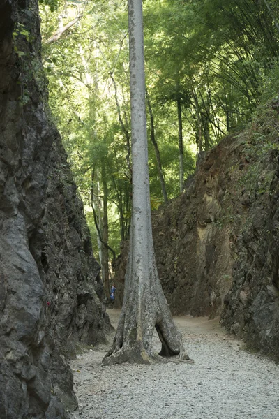 Hillfire průsmyk železniční stavby Barma Thajsko — Stock fotografie