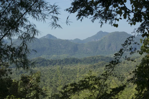 Natuur bij de River Kwai — Stockfoto