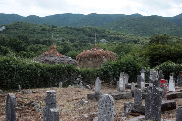 İşkodra Gölü nün batı ucunda kırsal — Stok fotoğraf