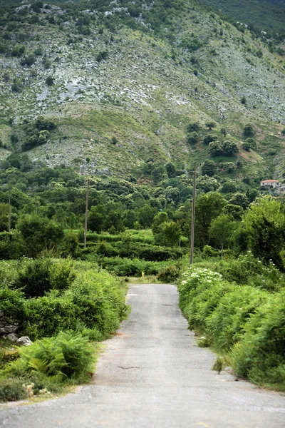 Εξοχή της λίμνης στη λίμνη Skadarsko — Φωτογραφία Αρχείου