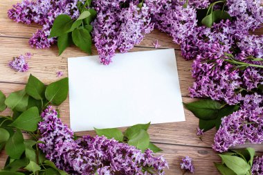 Ahşap arka planda çiçek açan beyaz, boş bir kağıt. Sevgililer Günü ve Anneler Günü için davetiye ya da tebrik kartı. Üst görünüm, düz döşeme, maket, kopyalama alanı. Bahar konsepti.