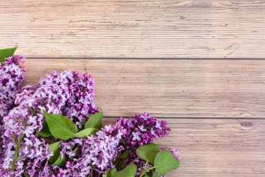 Kırsal ahşap arka planda leylak çiçekleri. Üst görünüm, düz görünüm, kopyalama alanı. Bahar konsepti.