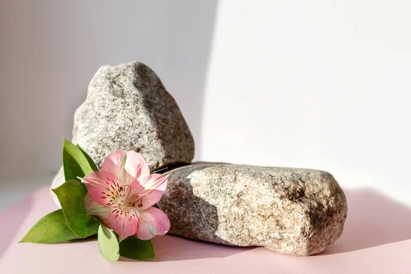 Natural stone stand with flowers for presentation and exhibitions on pink background. Abstract trendy podium for organic cosmetic products. Minimal style.