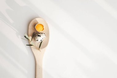 Bıldırcın yumurtası ve yumurta sarısı ile ahşap kaşık beyaz arka planda gölgeli izole edilmiş. Düz konum, üst görünüm, kopyalama alanı.