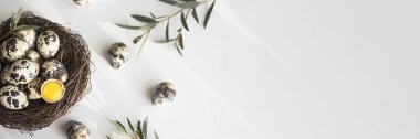 Beyaz arka planda kuş yuvasında gölgeli bıldırcın yumurtaları. Mutlu Paskalyalar. Kırsal tarzda. Uzayı kopyala Düz yerde, üst tarafta. Pankart