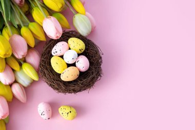 Yuvada renkli Paskalya bıldırcın yumurtaları ve pembe arka planda laleler. Düz yatıyordu. Bahar kompozisyonu. Mutlu Paskalya tebrik kartları. Boşluğu kopyala