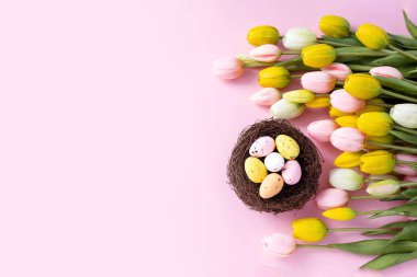 Yuvada renkli Paskalya bıldırcın yumurtaları ve pembe arka planda laleler. Düz yatıyordu. Bahar kompozisyonu. Mutlu Paskalya tebrik kartları. Boşluğu kopyala