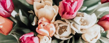 Parlak renkli lalelerden bir buket. Güzel çiçek arkaplanı. Bahar çiçekleri. Üst görünüm, boşluğu kopyala. Pankart