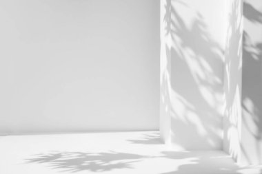 Beyaz masa ve soyut geometrik duvar arkaplanı çiçekler ve palmiye yapraklarıyla örtülmüş. Ürün sunumu için soyut gri stüdyo arka planı. Kopya alanı olan 3D oda. Yaz konsepti.