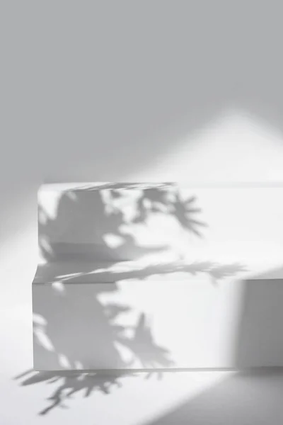 Üzerinde çiçekler ve palmiye yaprakları olan soyut bir podyum. Ürün sunumu için soyut gri stüdyo arka planı. Kopya alanı olan 3D oda. Yaz konsepti.