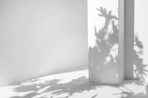 Beyaz masa ve soyut geometrik duvar arkaplanı çiçekler ve palmiye yapraklarıyla örtülmüş. Ürün sunumu için soyut gri stüdyo arka planı. Kopya alanı olan 3D oda. Yaz konsepti.