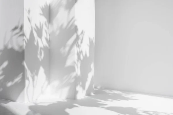 Beyaz masa ve soyut geometrik duvar arkaplanı çiçekler ve palmiye yapraklarıyla örtülmüş. Ürün sunumu için soyut gri stüdyo arka planı. Kopya alanı olan 3D oda. Yaz konsepti.