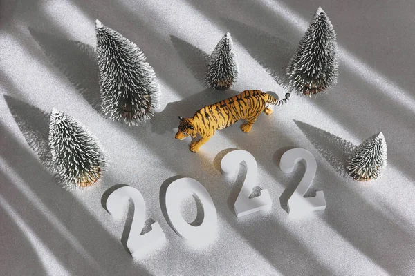 Numărul 2022 Figurina Tigrului Izolat Fundal Gri Umbre Simbolul Tigrului — Fotografie, imagine de stoc