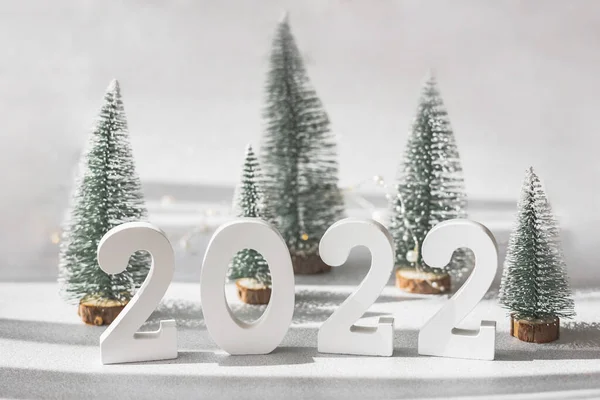 Numerele Decorative Din Lemn Alb 2022 Brazii Verzi Izolați Fundal — Fotografie, imagine de stoc