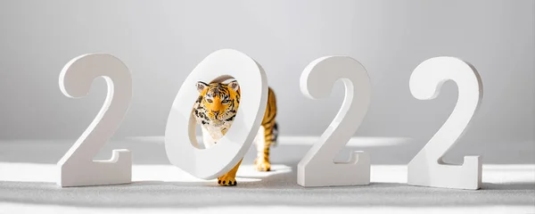 2022 numara ve kaplan figürü gri arka planda gölgeli olarak izole edildi. 2022 Çin Yeni Yılı 'nın kaplan sembolü. Pankart
