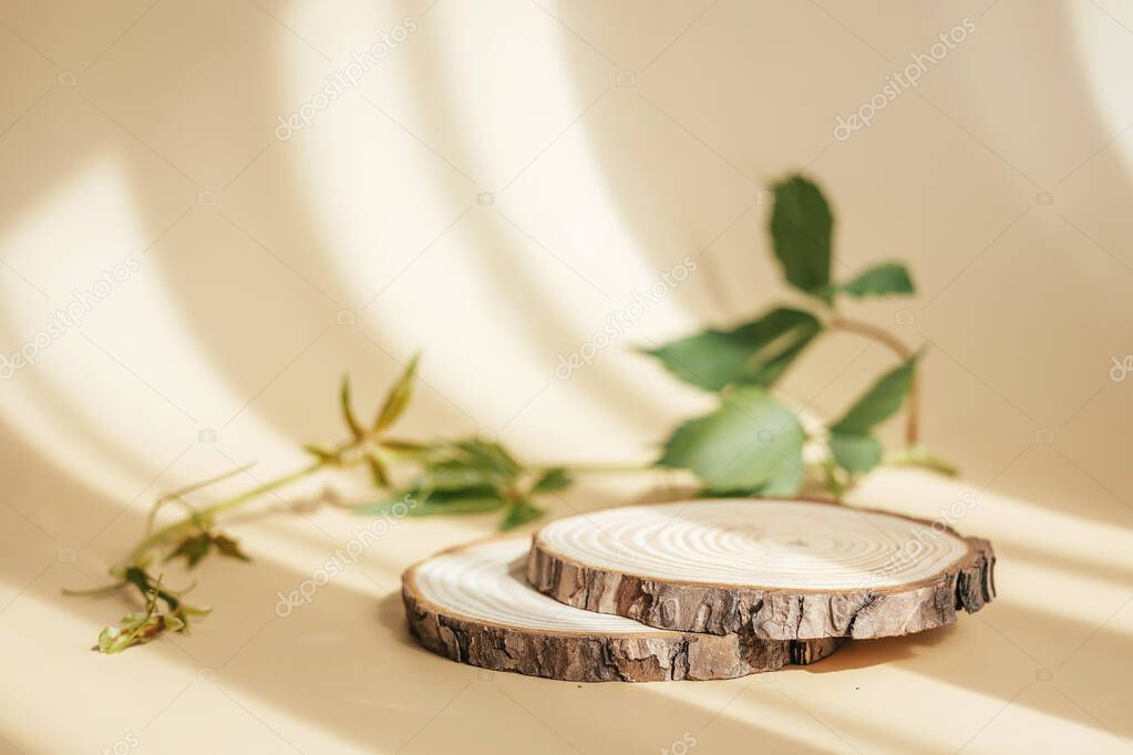 Natural round wooden stand for presentation and exhibitions on pastel beige background with shadow. Mock up 3d empty podium with green leaves for organic cosmetic product. Copy space.