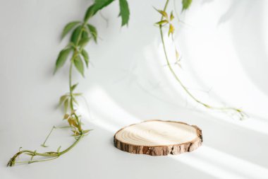 Sunum için doğal yuvarlak ahşap tezgah ve gölgeli beyaz arka planda sergiler. Organik kozmetik ürünler için yeşil yapraklı 3D boş podyum oluşturun. Boşluğu kopyala.