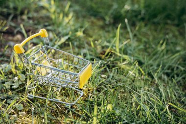 Sürdürülebilir tüketim. Yeşil çim arka planda boş alışveriş arabası. Sıfır atık. Boşluğu kopyala.