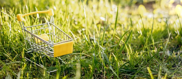 Sustainable consumption. Empty shopping cart on green grass background. Zero waste concept. Copy space. Banner