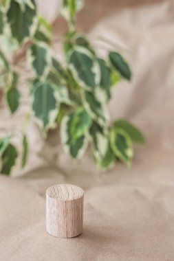 Sunum için doğal yuvarlak ahşap tezgah ve yeşil yapraklı pastel bej arka plan sergileri. Organik kozmetik ürünler için 3D boş podyum oluşturun. Boşluğu kopyala.