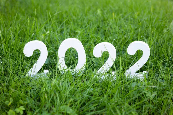Mutlu yıllar 2022. 2022 numaralı beyaz ahşap yeşil çimlerin üzerinde