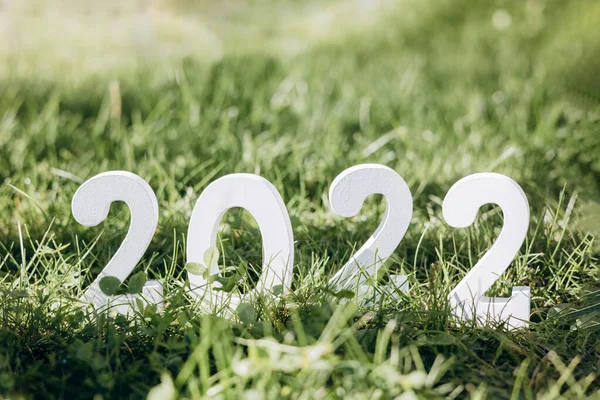 Mulţi Ani 2022 Numărul Lemn Alb 2022 Iarbă Verde — Fotografie, imagine de stoc